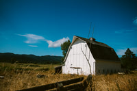 Landscape to purchase