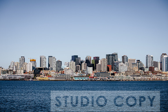 F62A3337