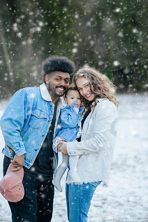 F62A3240Snow