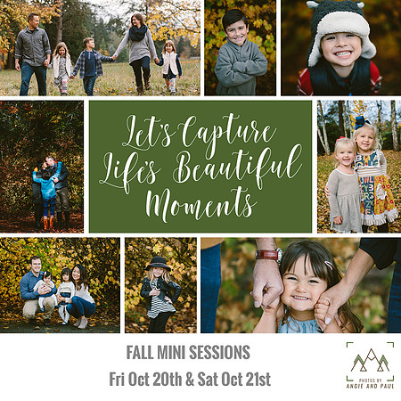 2017 FALL MINI AD