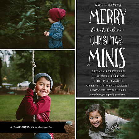 tree farm mini flyer