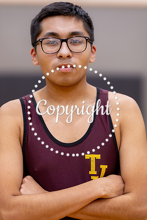 F62A1331
