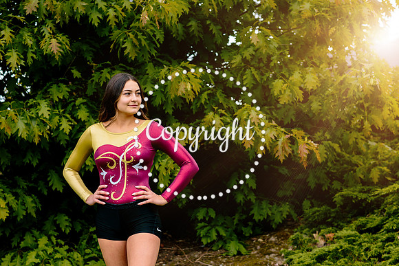 IMG_0239LightEdit