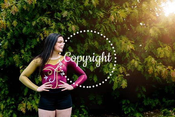 IMG_0260LightEdit